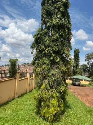 4bdrm Bungalow in Central Division for sale
