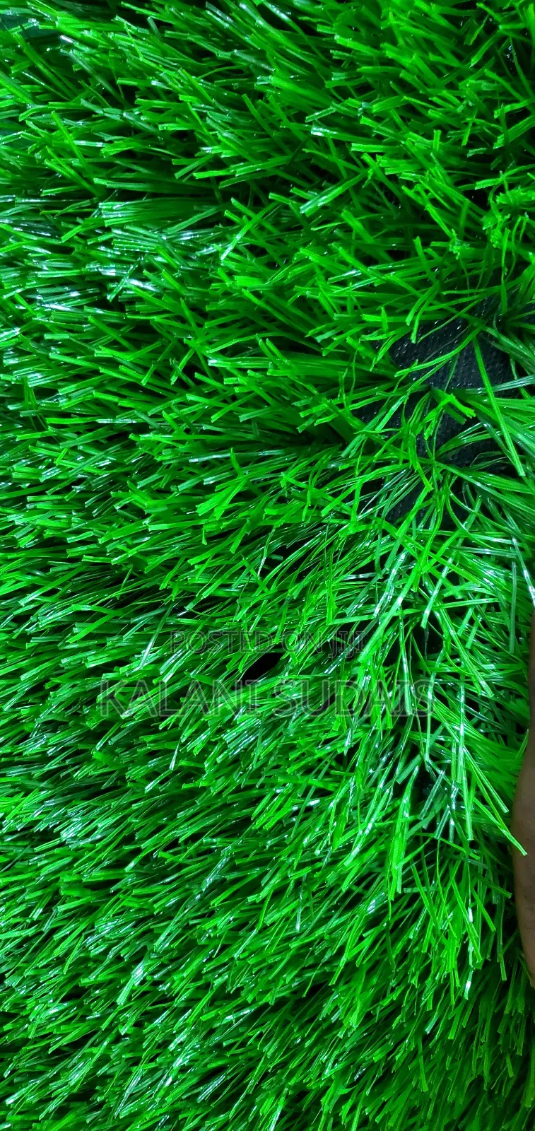 Green Grass Carpet
