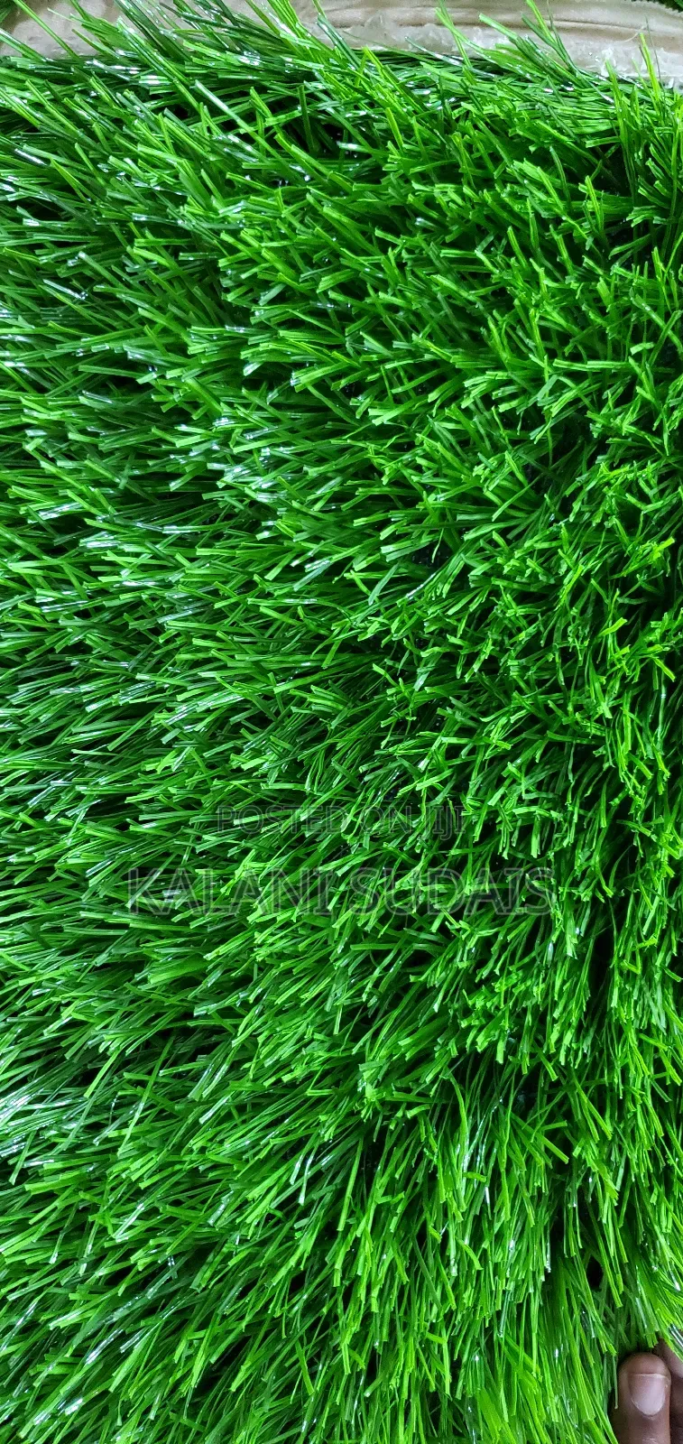 Green Grass Carpet