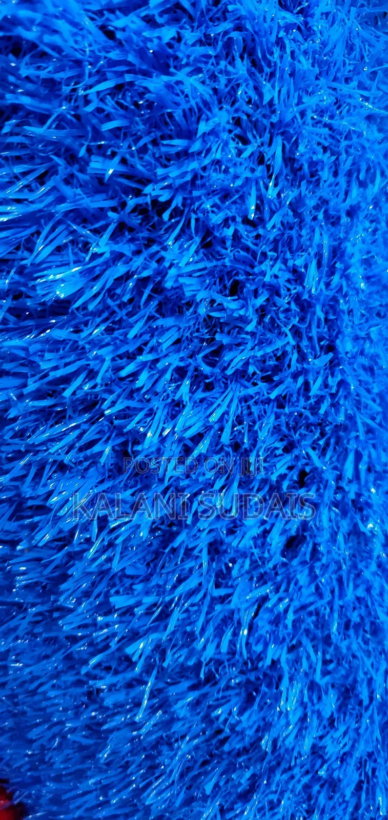 Blue Grass Carpet