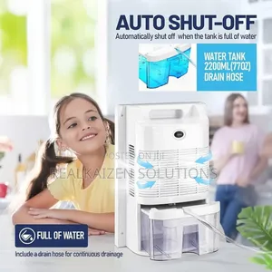 20l/Day Smart Compressor Dehumidifier With Air Purifier 2.2l H2o Tank