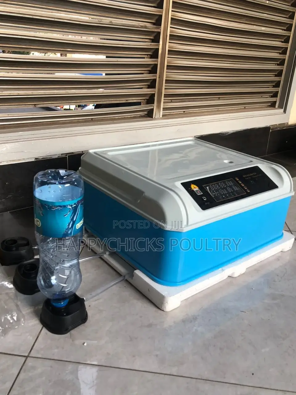 Eggs Incubator