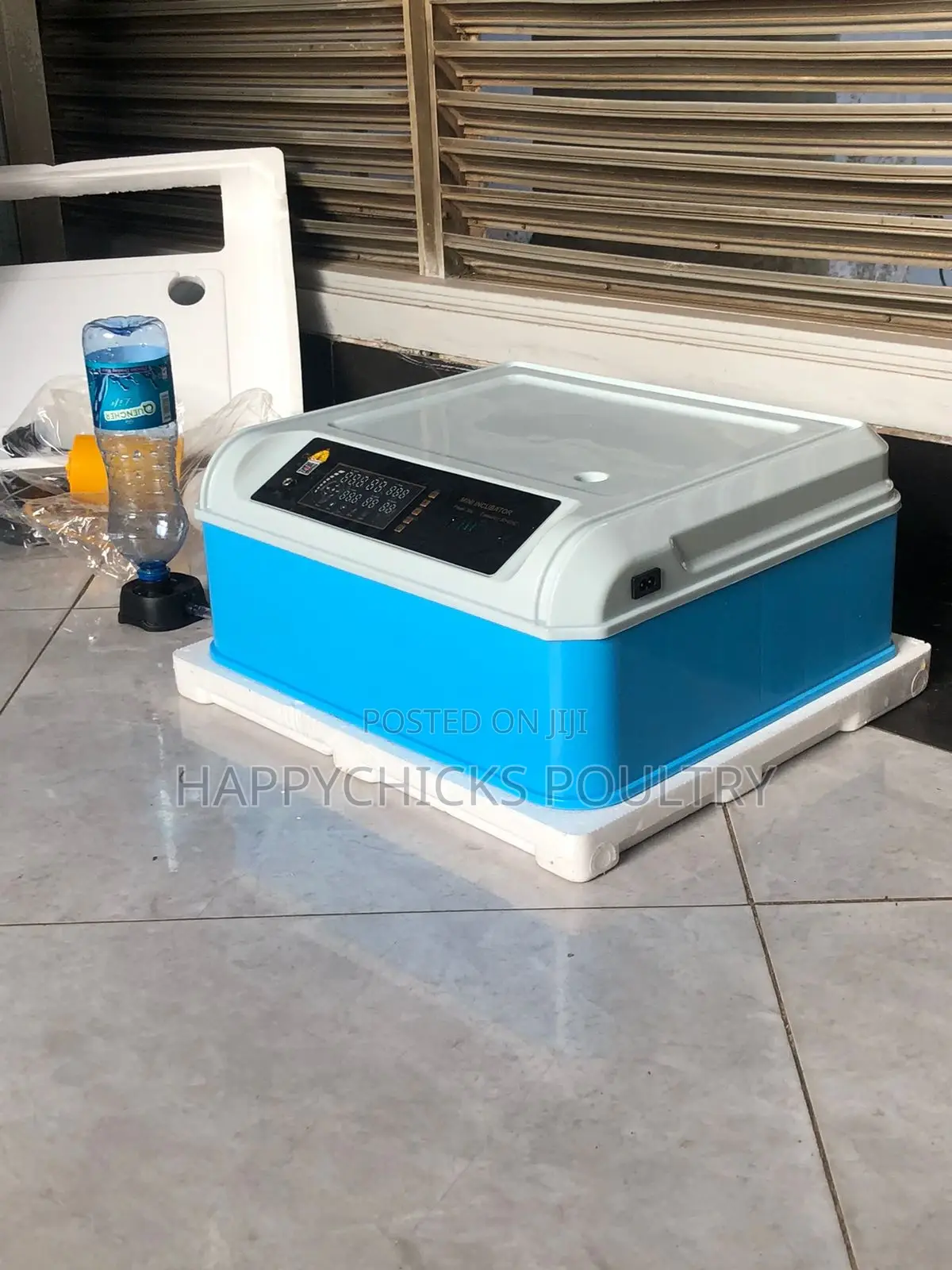 Eggs Incubator