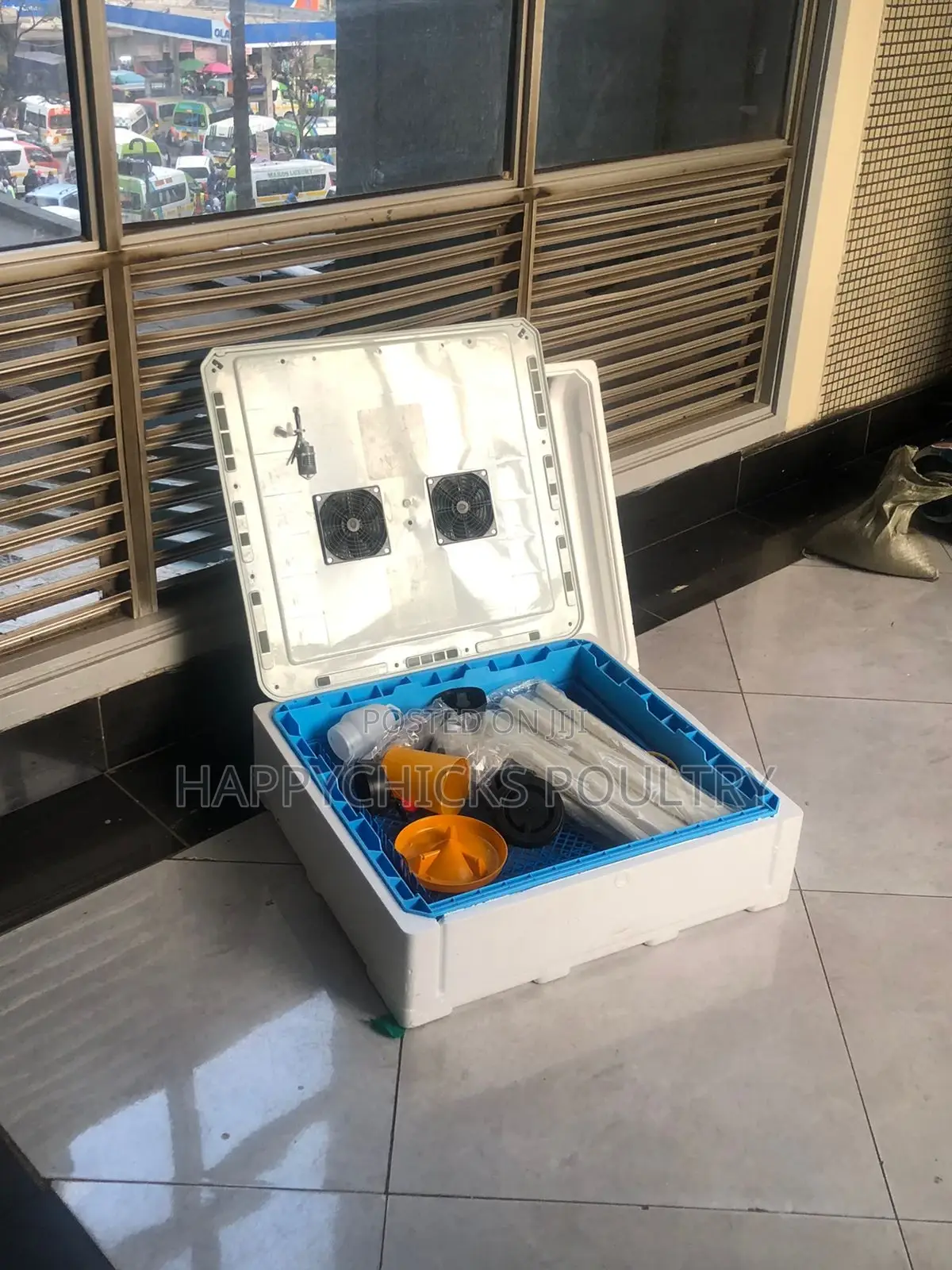 Eggs Incubator