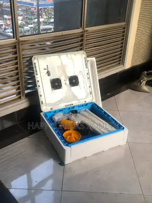 Eggs Incubator