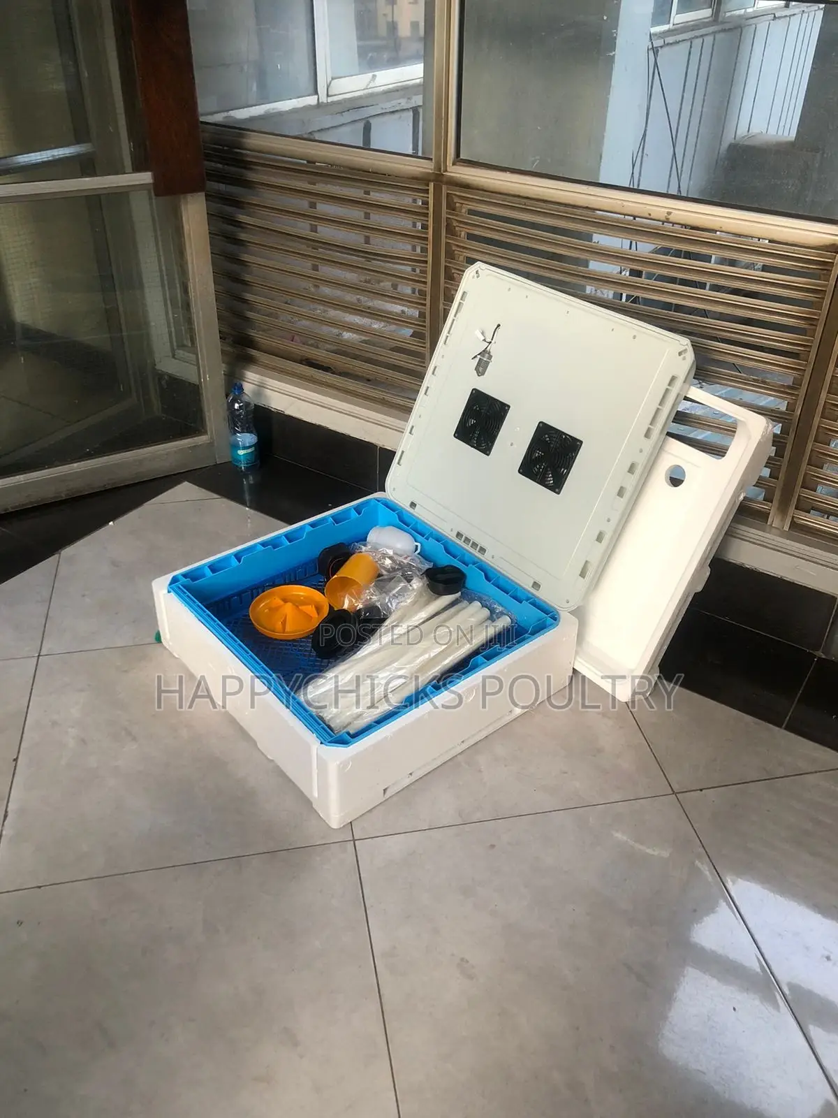 Eggs Incubator