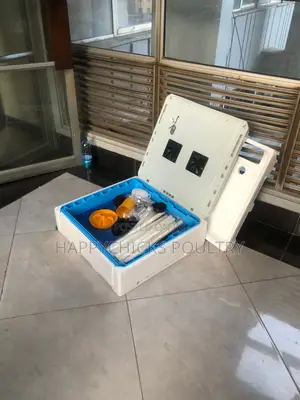 Eggs Incubator