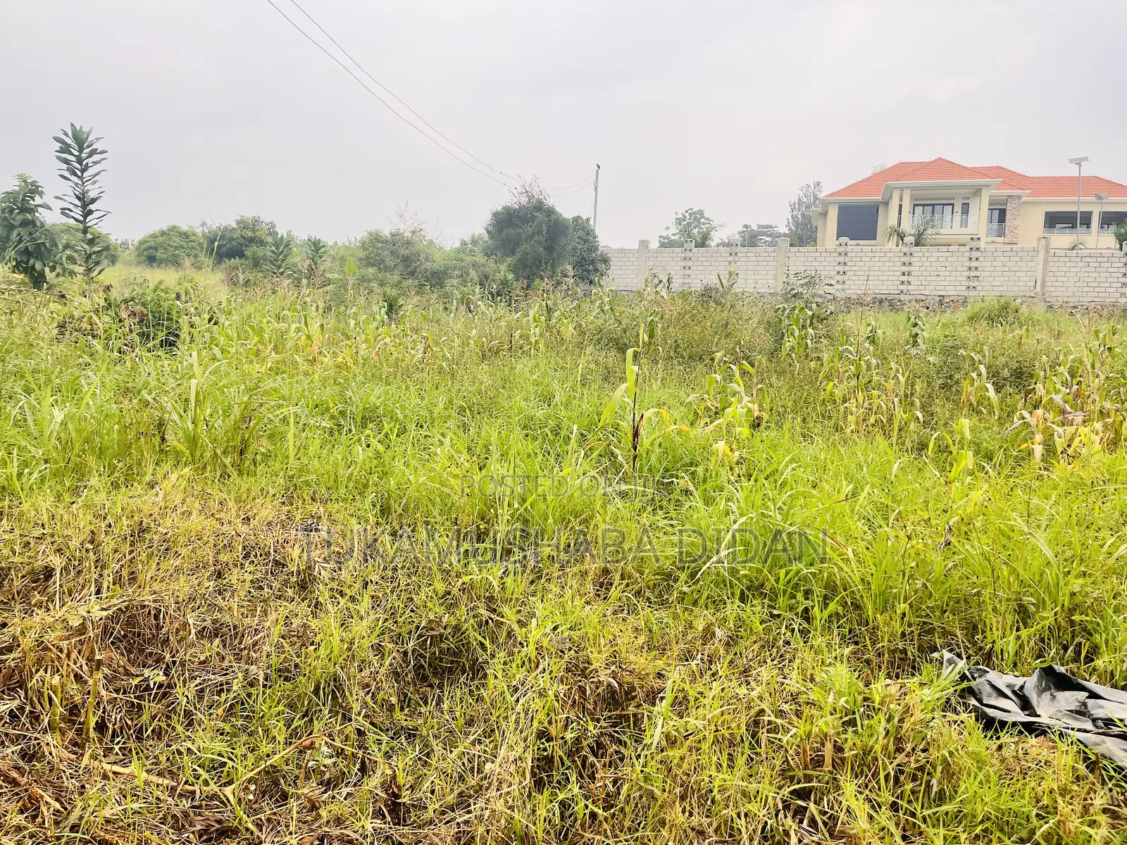 Commercial Property for Sale