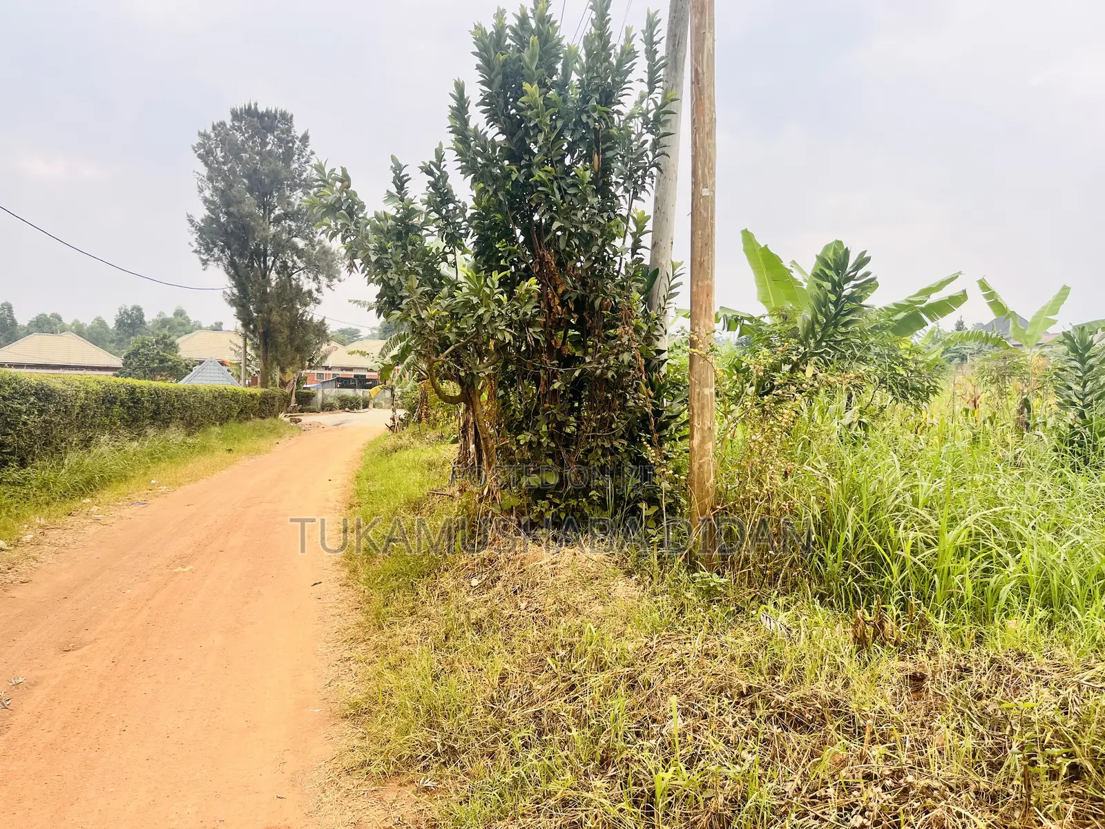 Commercial Property for Sale