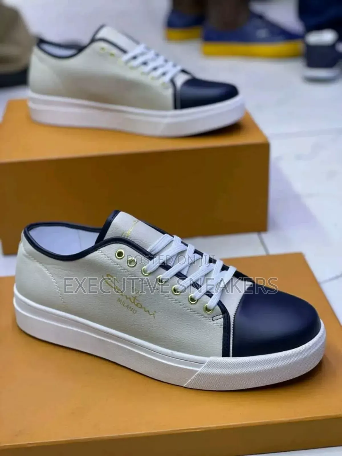 Executive Sneakers