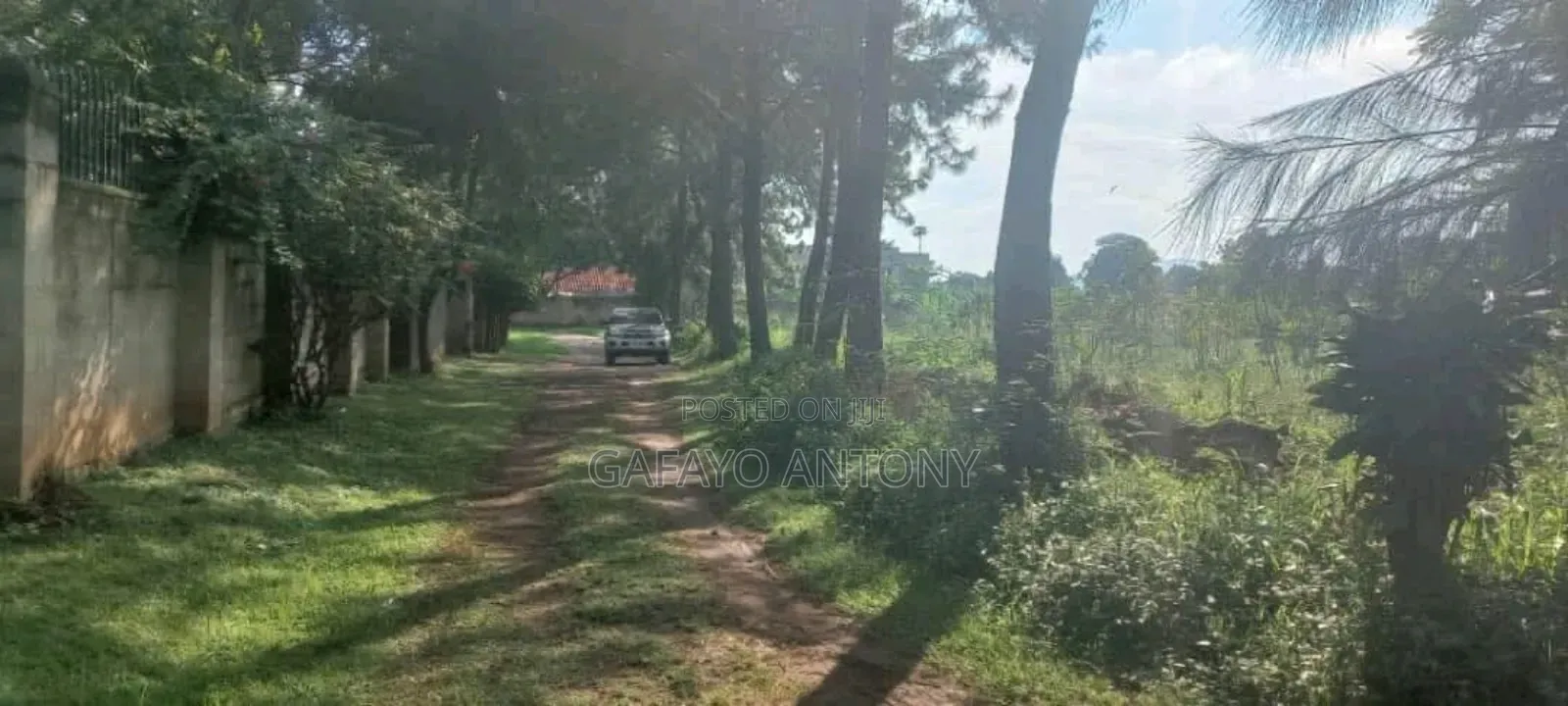 Land for Sale