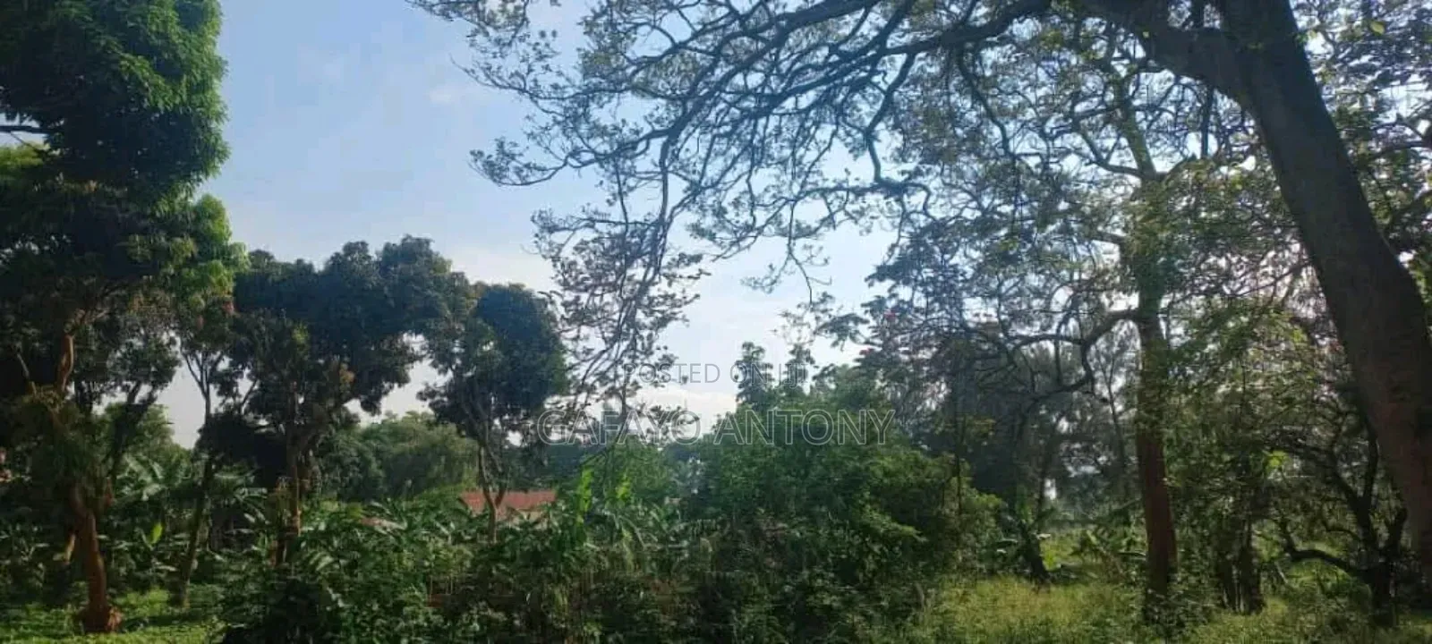 Land for Sale