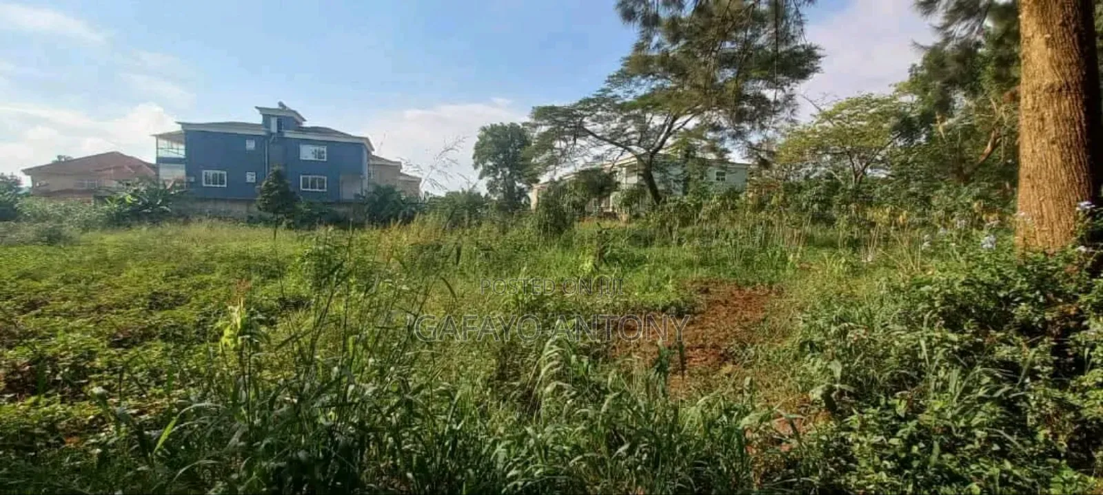 Land for Sale