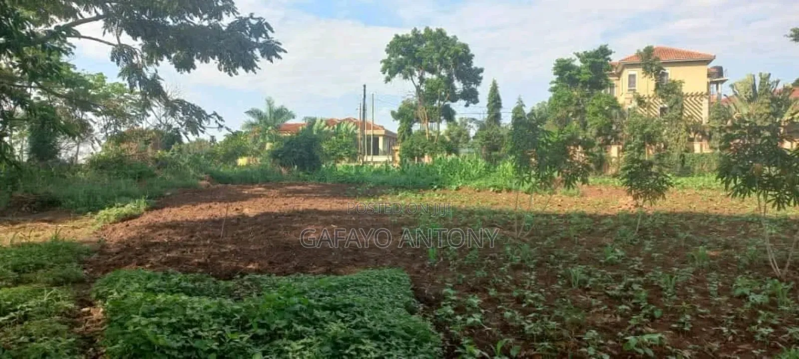 Land for Sale