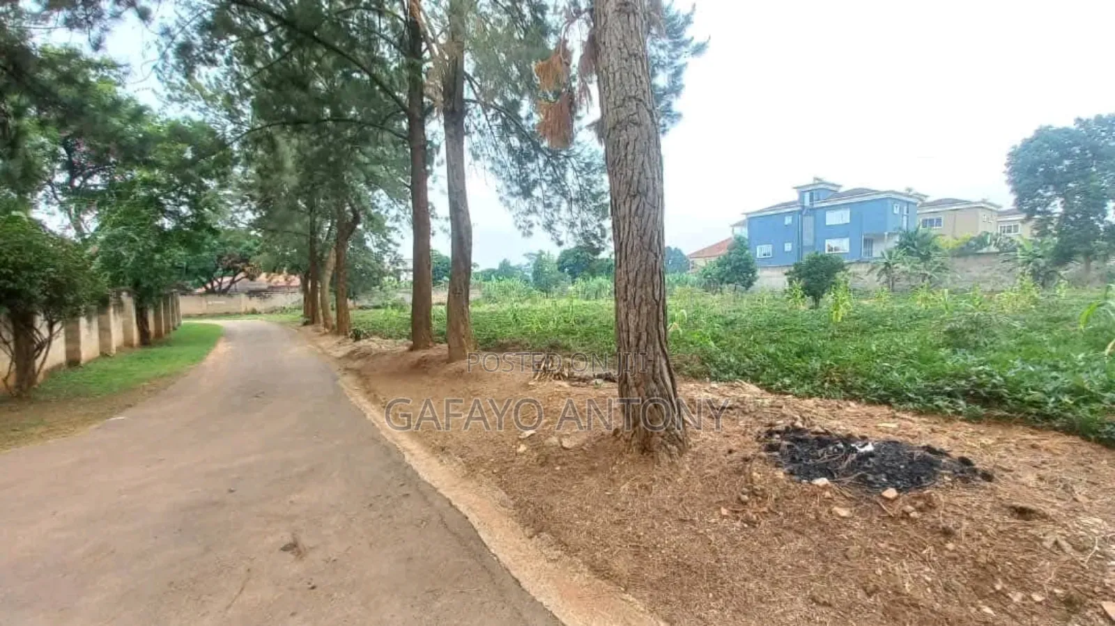 Land for Sale