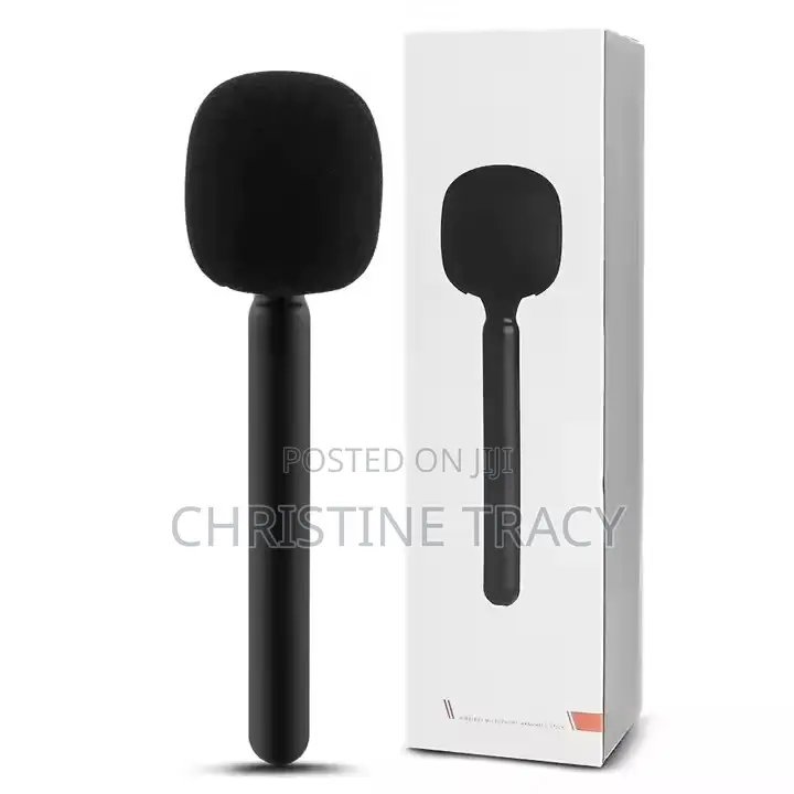 Interview Microphone