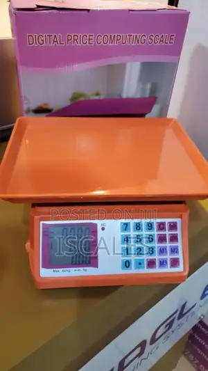 Simple Kitchen Weighing Scale 40kg Weigh Digital Weighing Scale