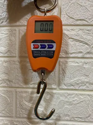 Hanging Weighing Scale 200kg Steel Hook Hanging Weighing Scale