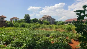 15 Decimals Lake View Land in Entebbe Nkumba