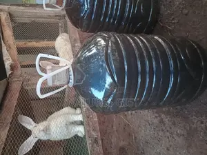 Organic Pesticide/Fertilizer