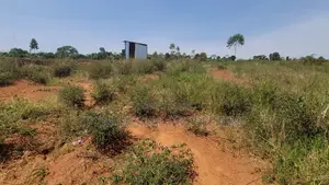 Private Land at Nankonge With Title