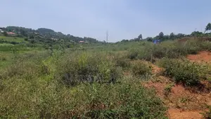 Private Land at Nankonge With Title