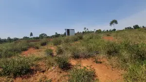 Private Land at Nankonge With Title