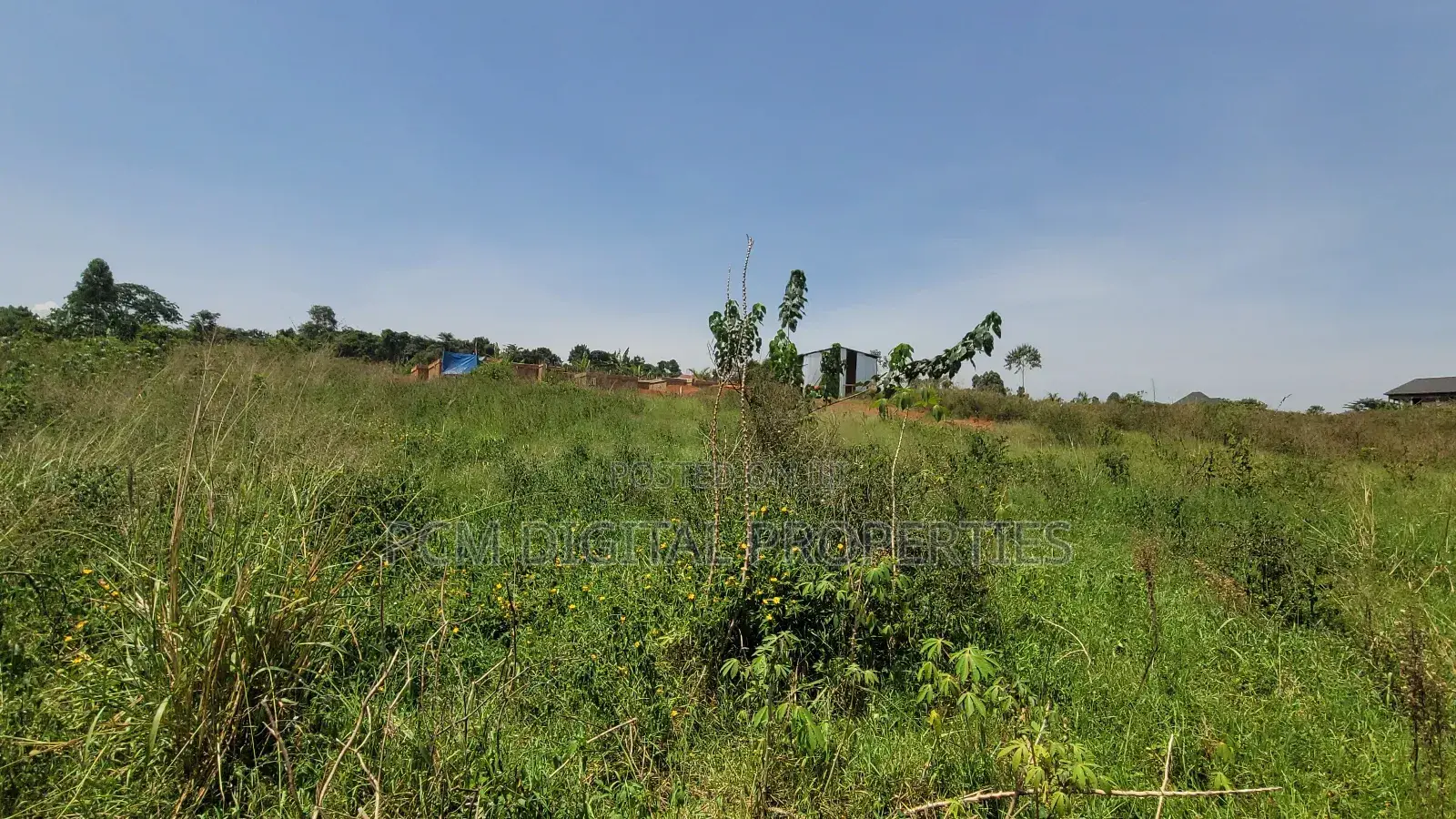 Private Land at Nankonge With Title