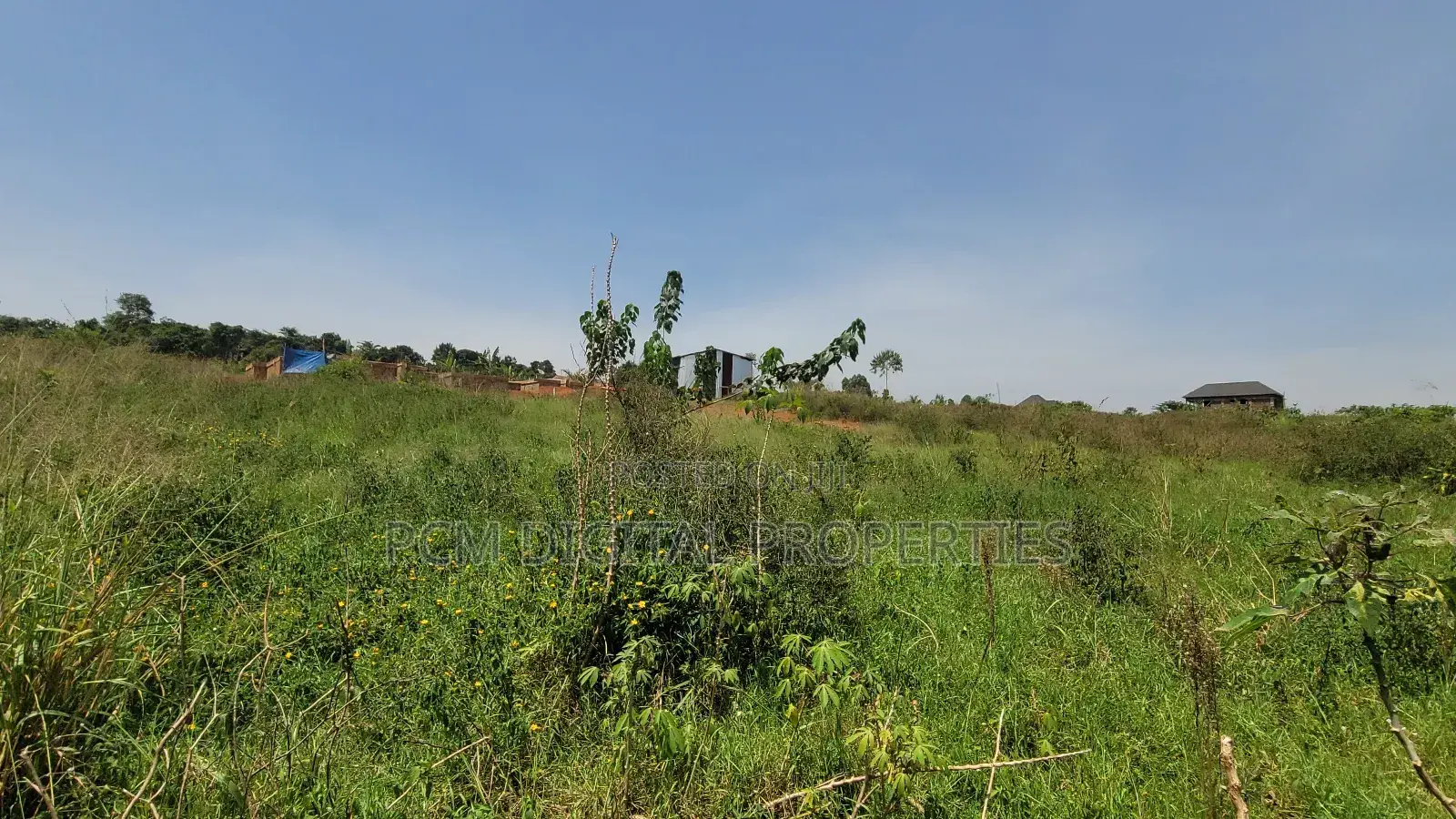 Private Land at Nankonge With Title