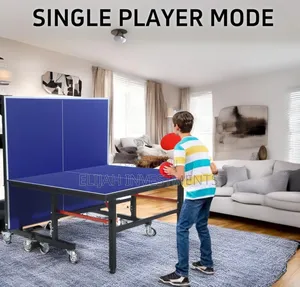 Foldable Tennis Table