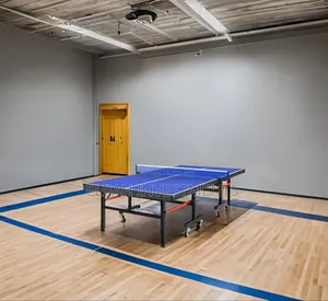 Foldable Tennis Table