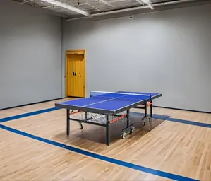 Foldable Tennis Table