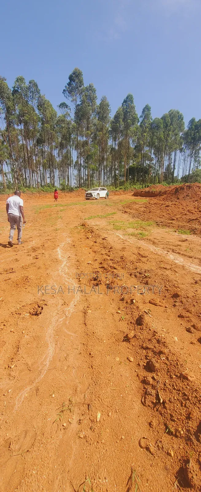Professional Surveying Services.