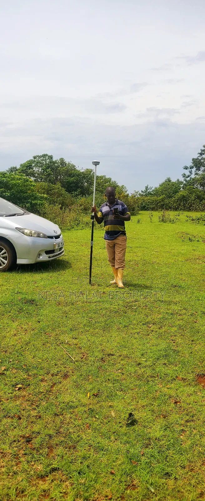 Professional Surveying Services.