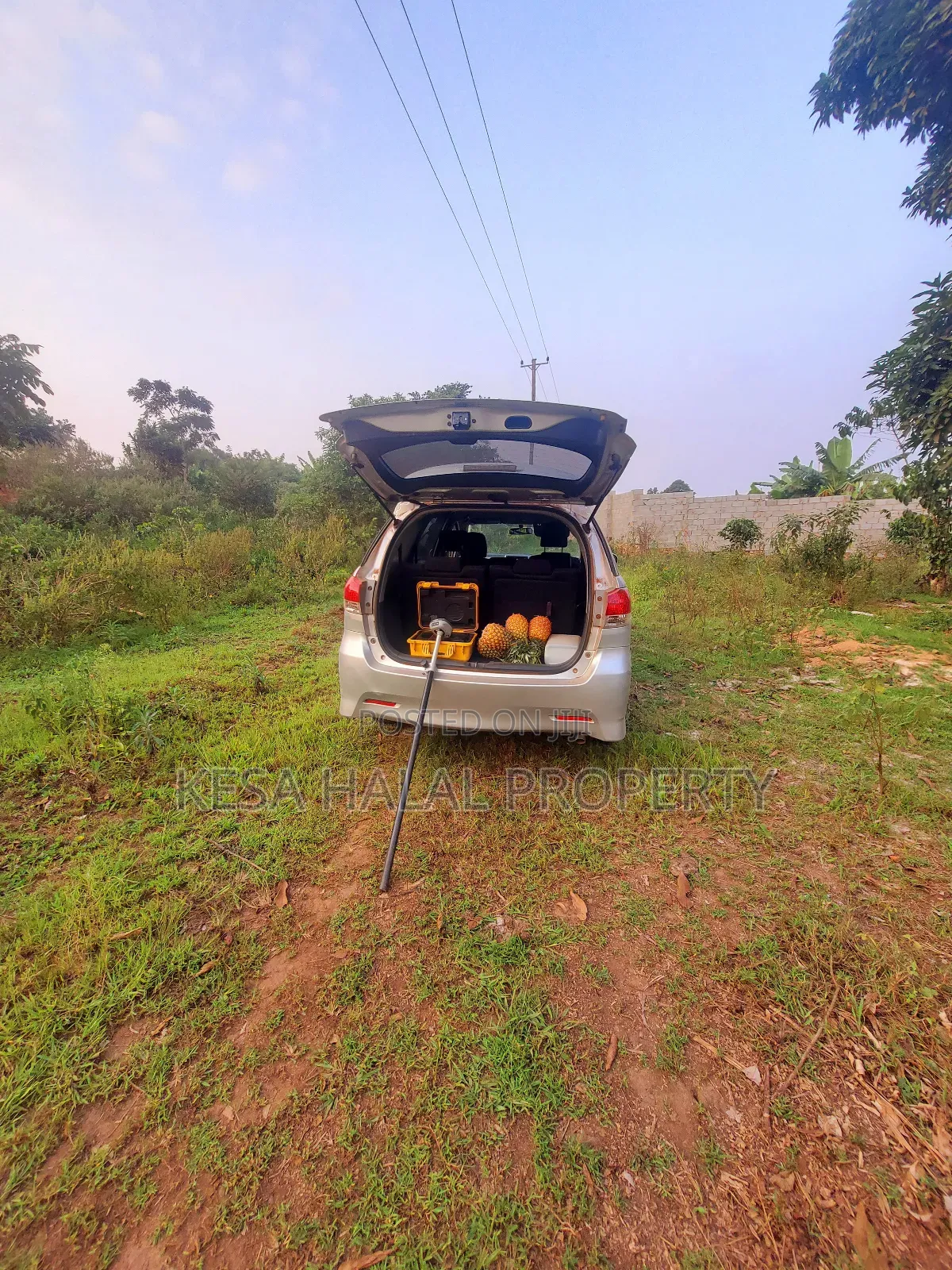 Professional Surveying Services.