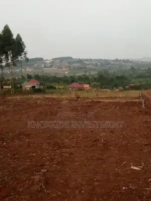 Plot for Sale 100x50ft Bukalango Near Tarmac Hoima Road