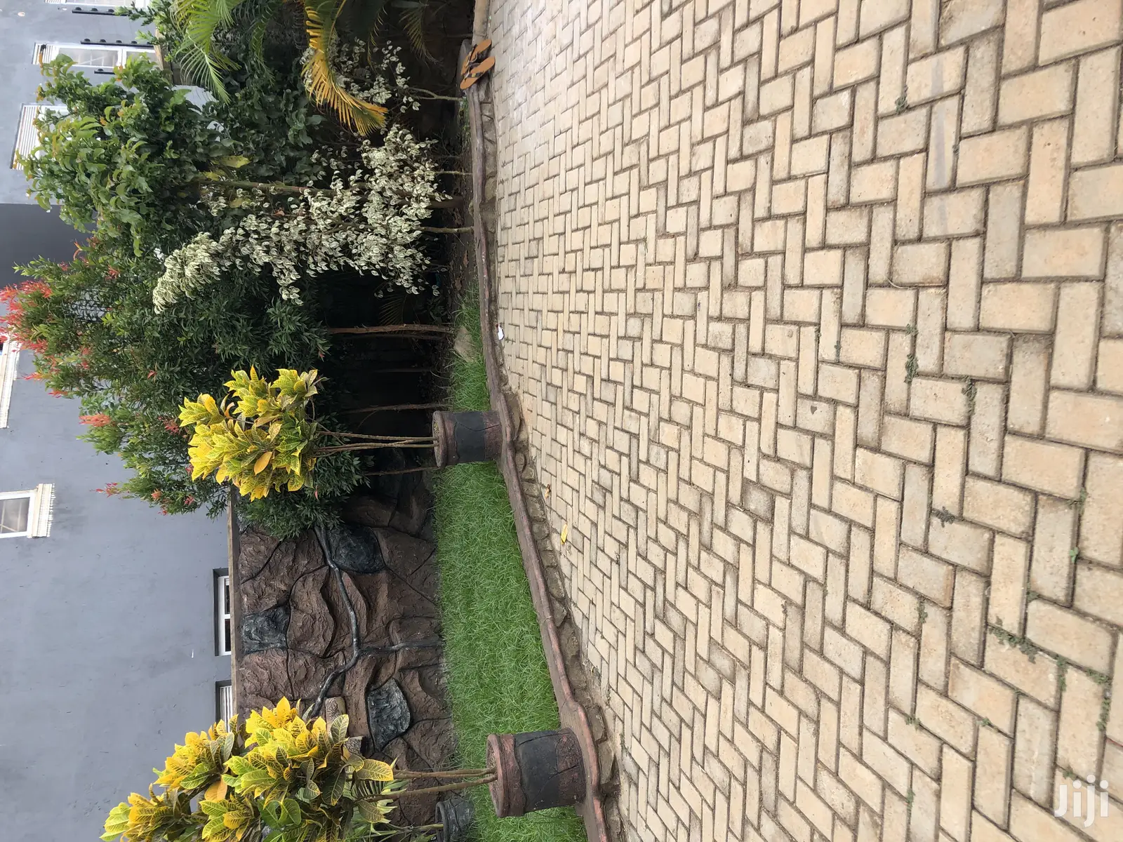 Kira Classical Beauty for Sale