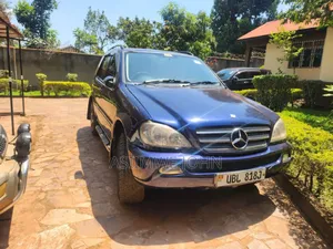 Mercedes-Benz M Class 2005 Blue