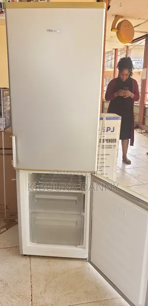 Hisence 330litres Fridge Double Door