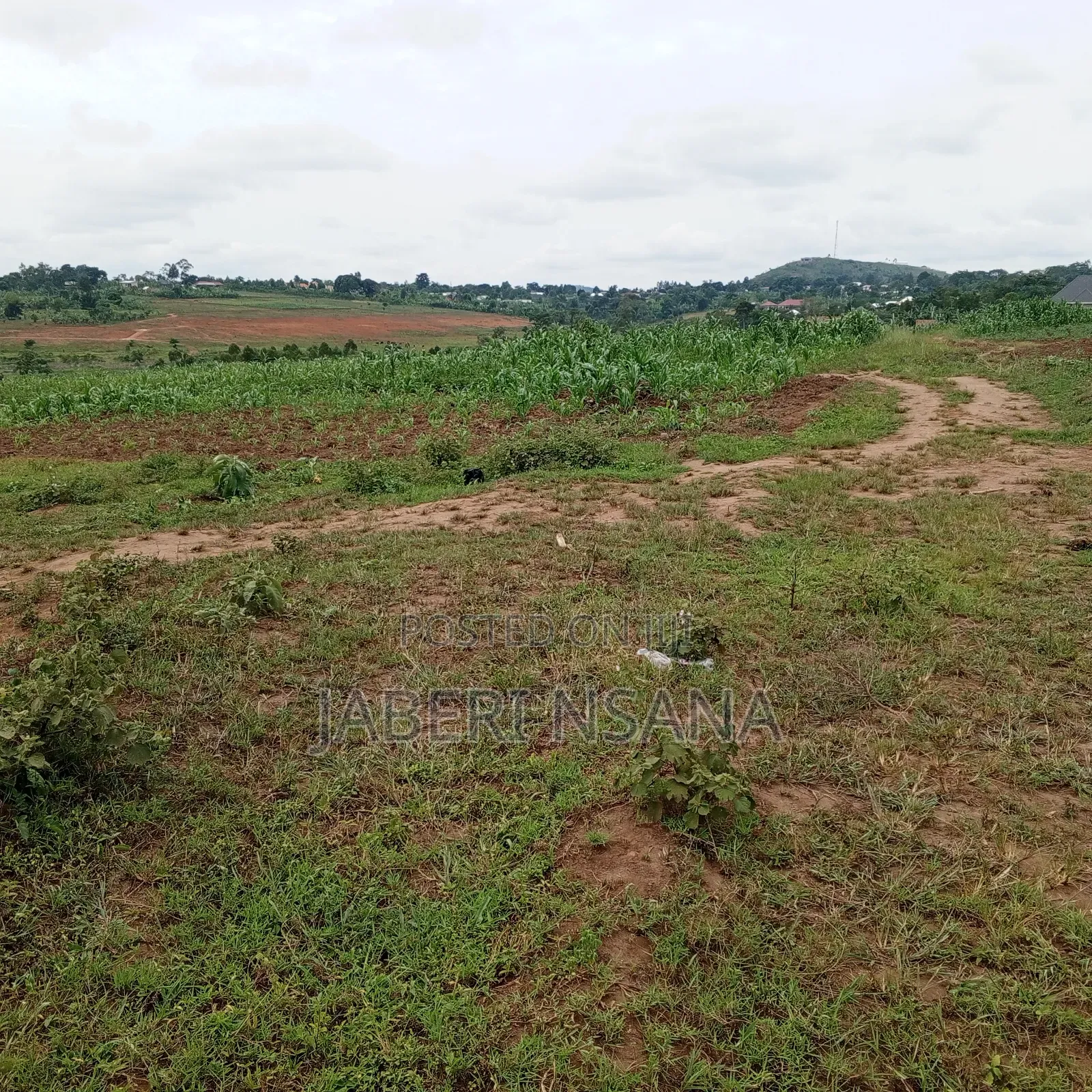 Titled Land Kakiri