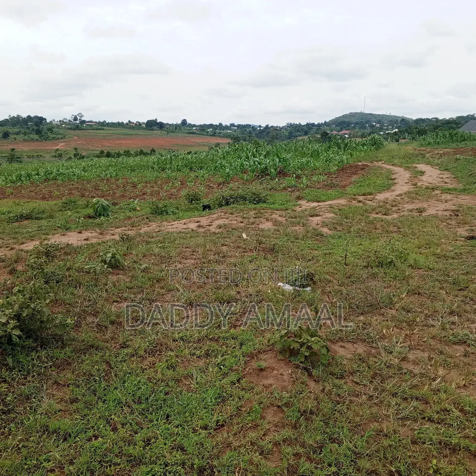 Titled Land Kakiri