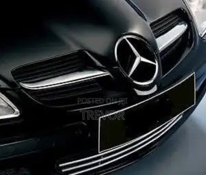 Mercedes SLK R171 (2004 - 2010)Front Grille
