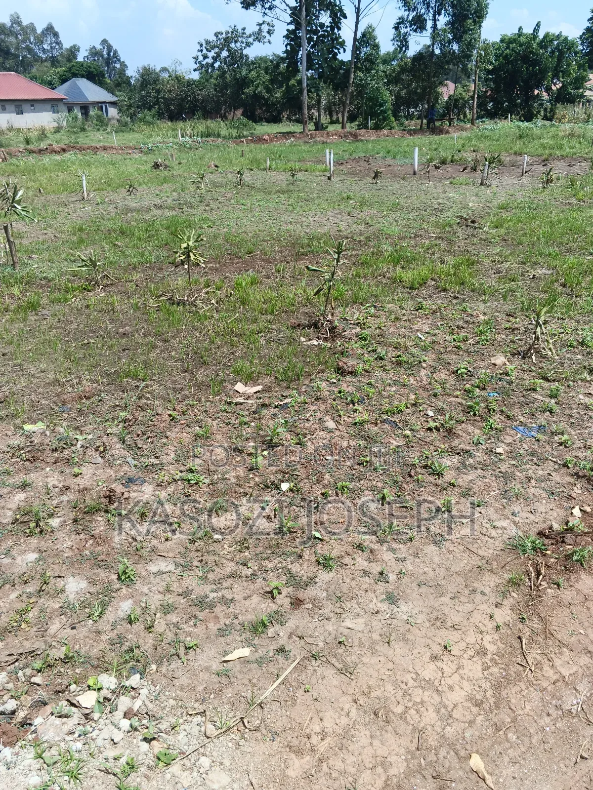 Plot for Sale Along Entebbe Road