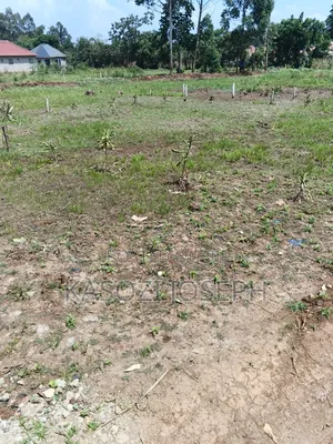 Plot for Sale Along Entebbe Road