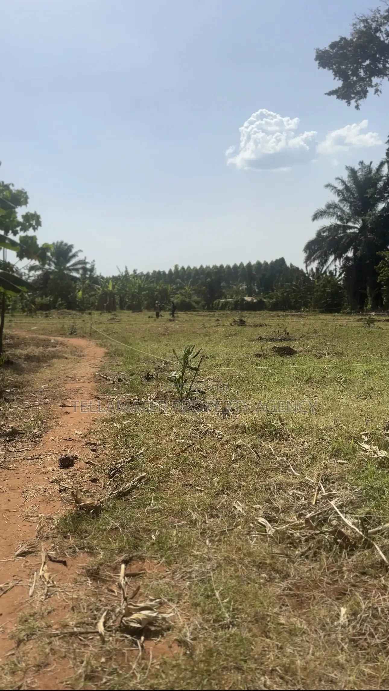 50*50ft and 50*100ft Plots at Nakifuma-Magogo for Sale