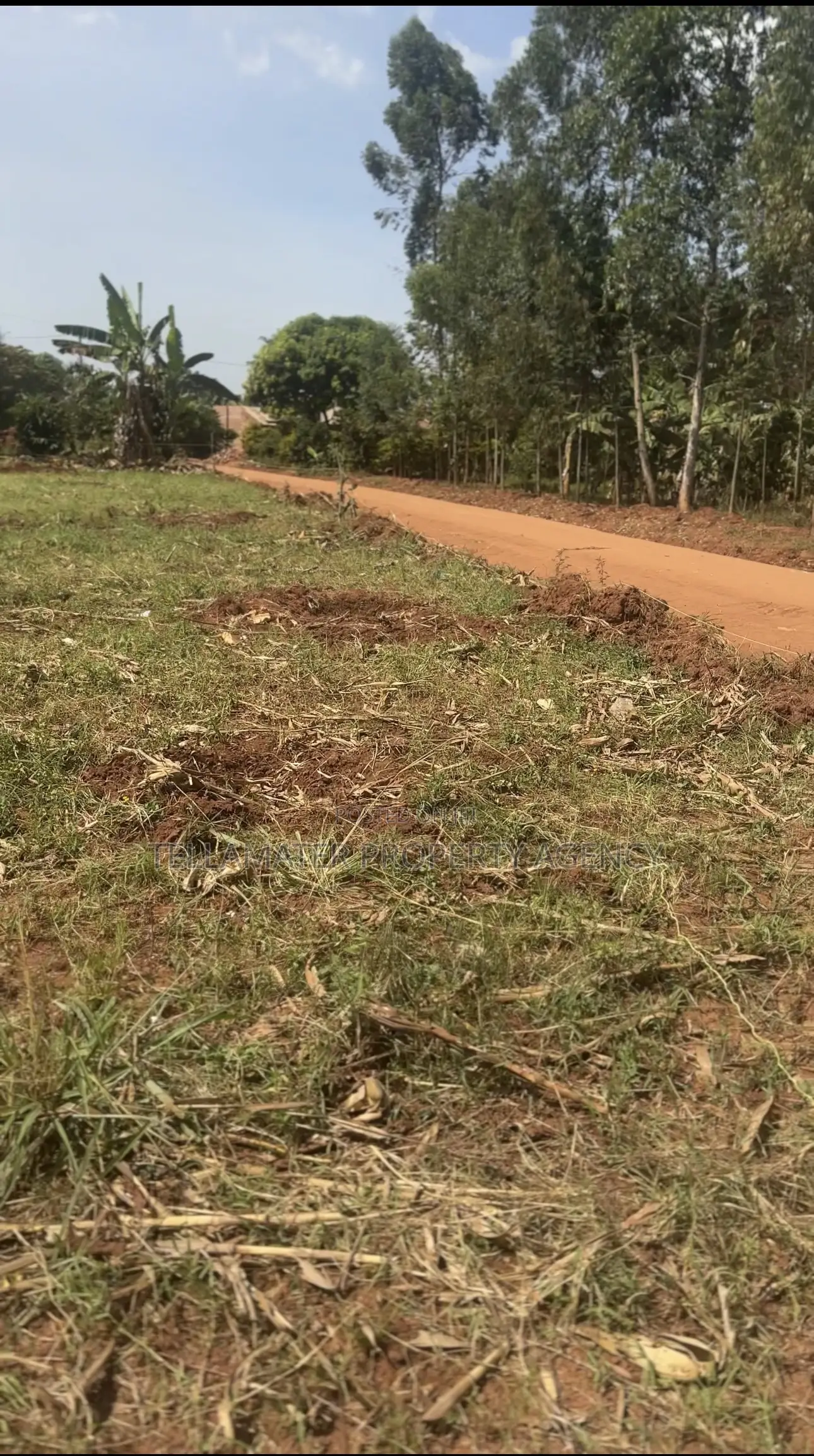 50*50ft and 50*100ft Plots at Nakifuma-Magogo for Sale