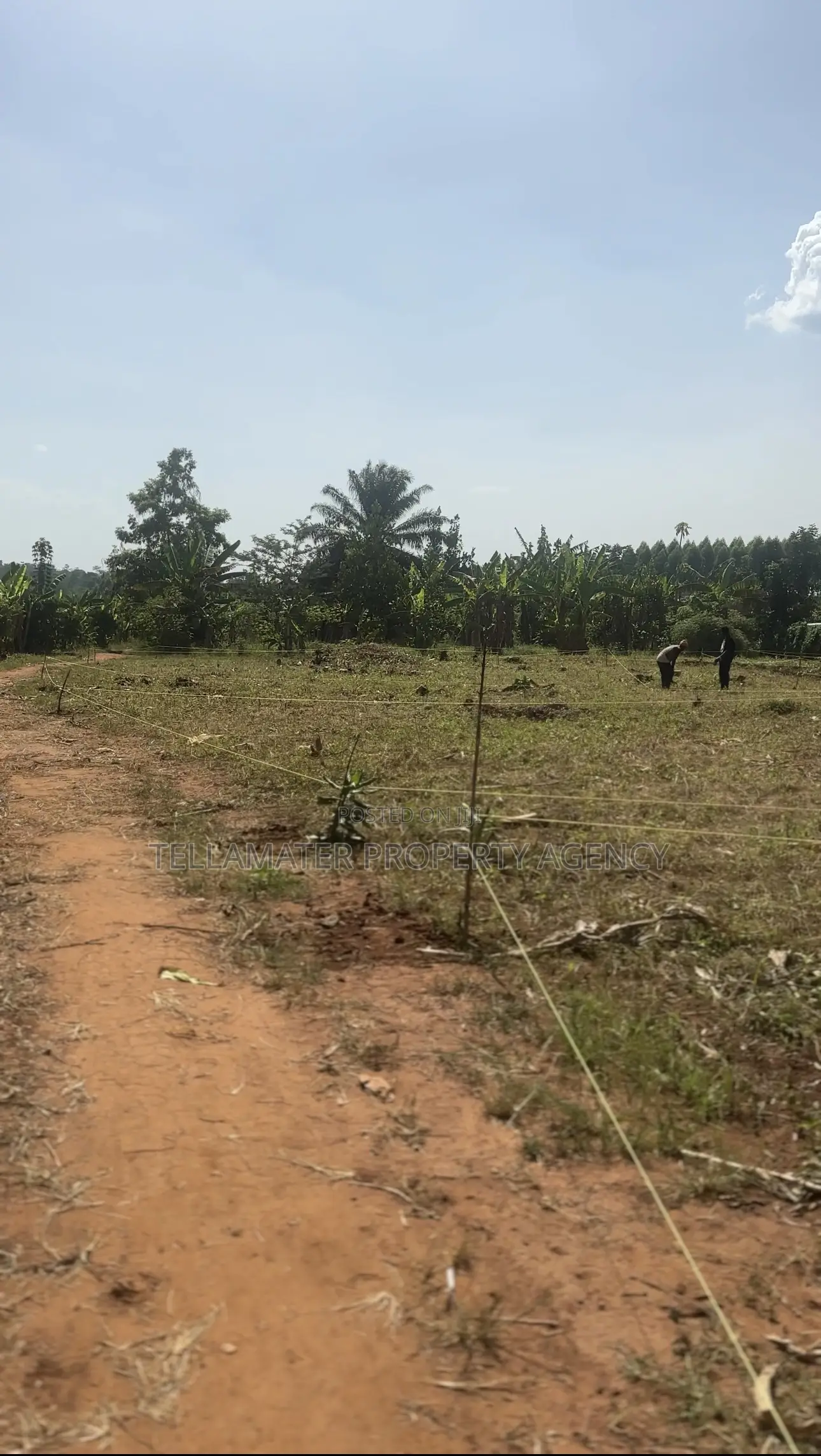 50*50ft and 50*100ft Plots at Nakifuma-Magogo for Sale