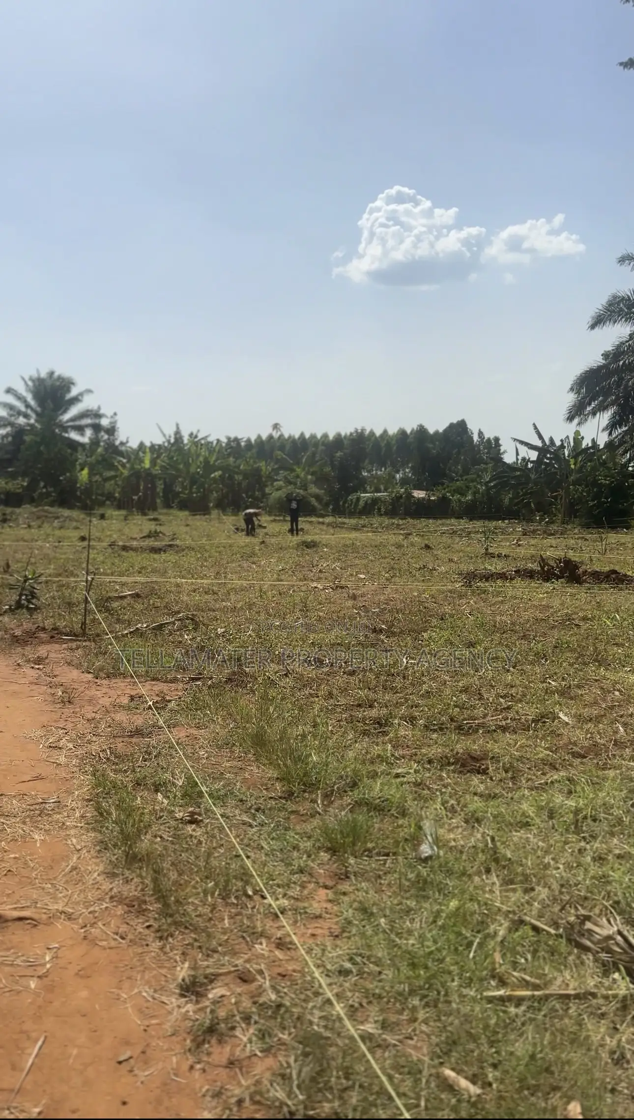 50*50ft and 50*100ft Plots at Nakifuma-Magogo for Sale