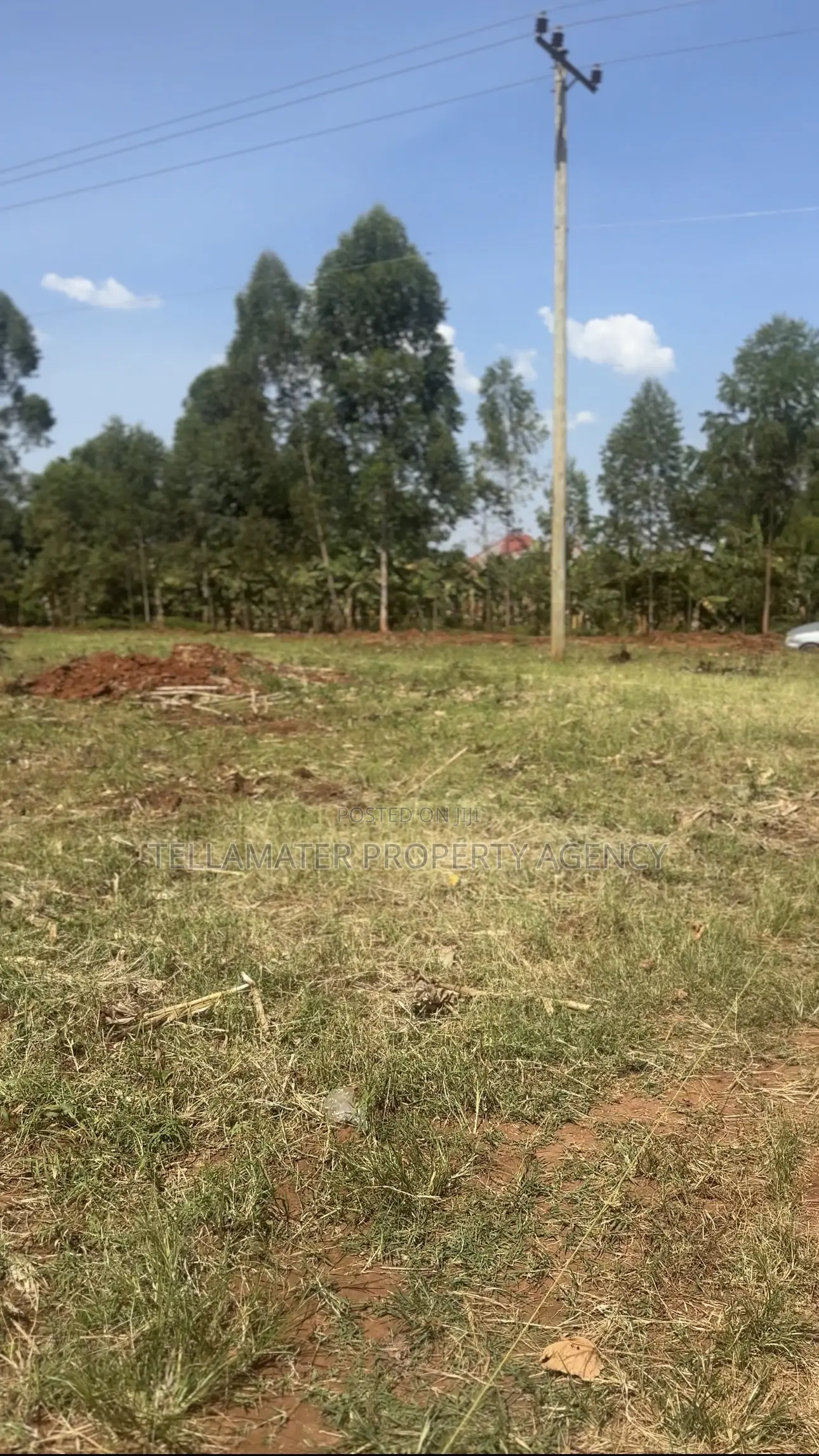 50*50ft and 50*100ft Plots at Nakifuma-Magogo for Sale