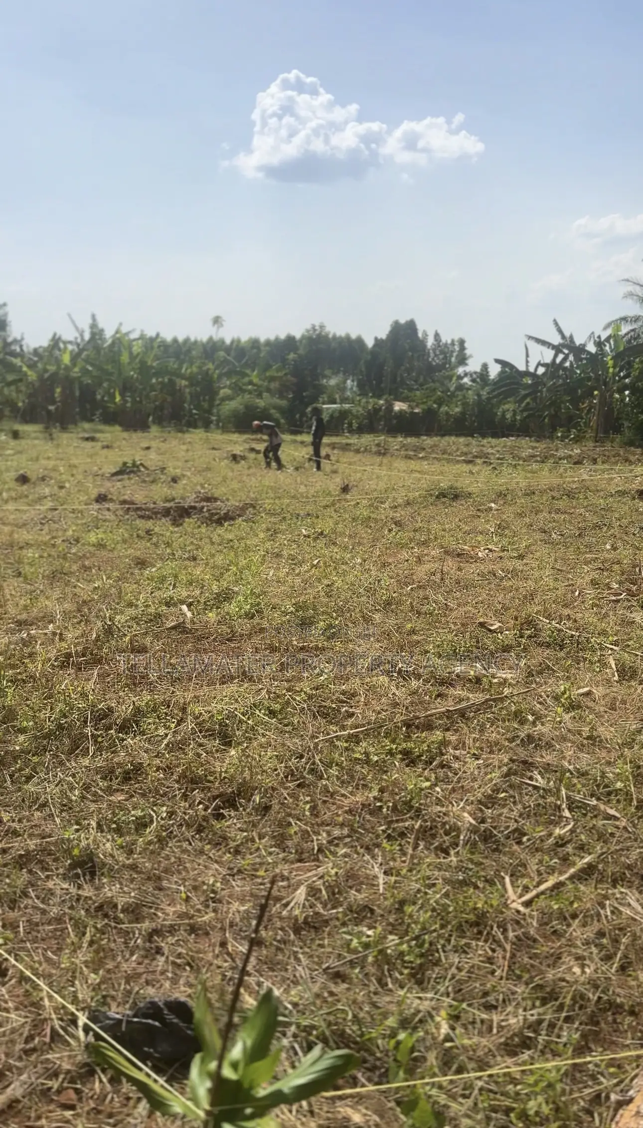 50*50ft and 50*100ft Plots at Nakifuma-Magogo for Sale